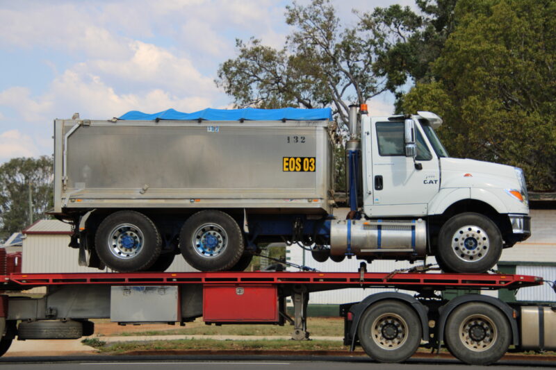 Truck and dog